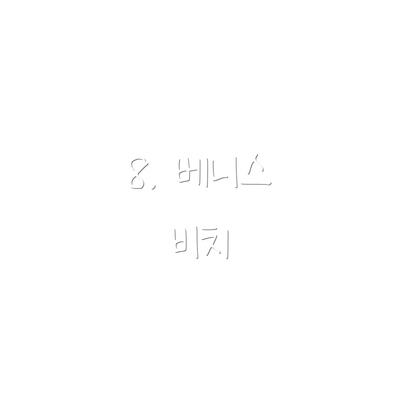 8. 베니스 비치