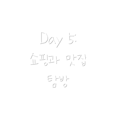 Day 5:  쇼핑과 맛집 탐방