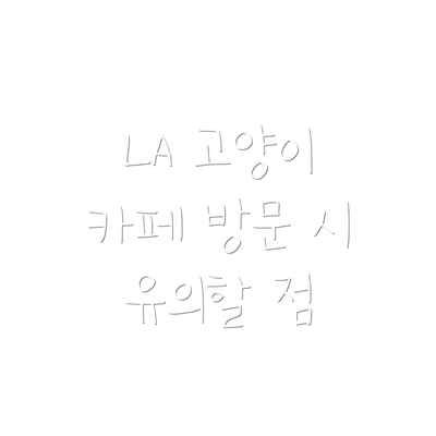 LA 고양이 카페 방문 시 유의할 점