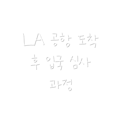 LA 공항 도착 후 입국 심사 과정