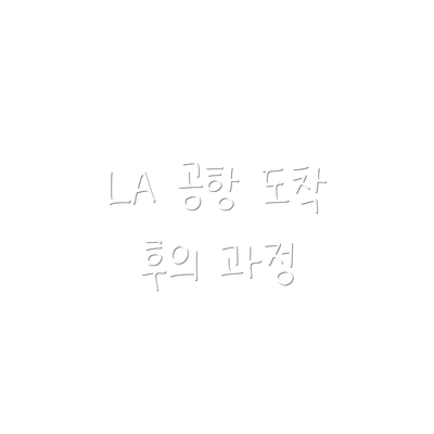 LA 공항 도착 후의 과정