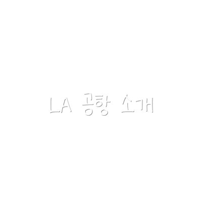 LA 공항 소개