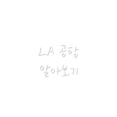 LA 공항 알아보기