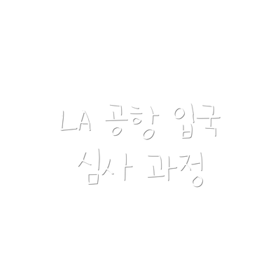 LA 공항 입국 심사 과정