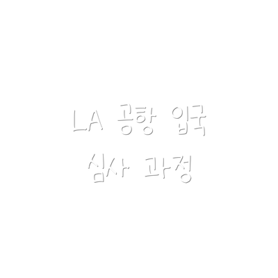 LA 공항 입국 심사 과정