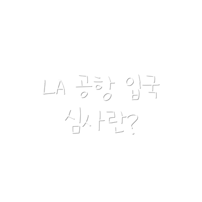 LA 공항 입국 심사란?