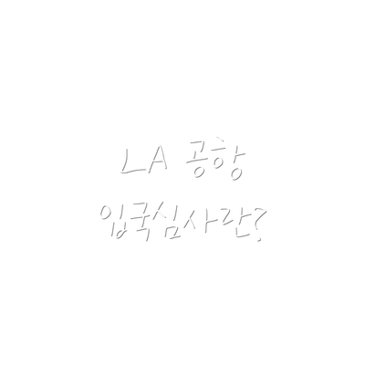 LA 공항 입국심사란?