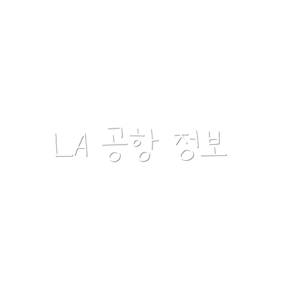 LA 공항 정보