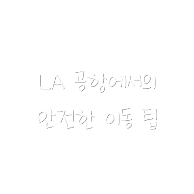 LA 공항에서의 안전한 이동 팁
