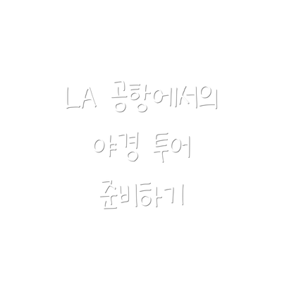 LA 공항에서의 야경 투어 준비하기