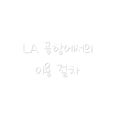 LA 공항에서의 이용 절차