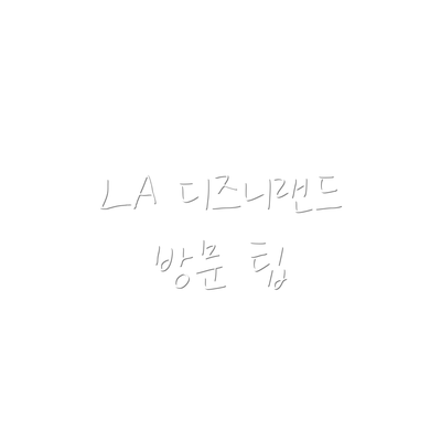 LA 디즈니랜드 방문 팁