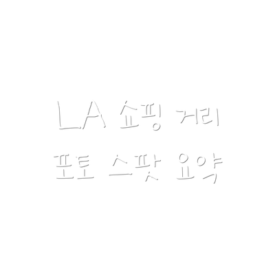 LA 쇼핑 거리 포토 스팟 요약