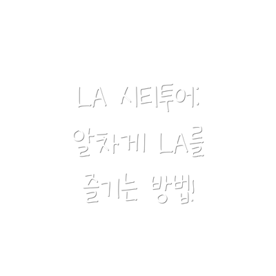 LA 시티투어:  알차게 LA를 즐기는 방법!
