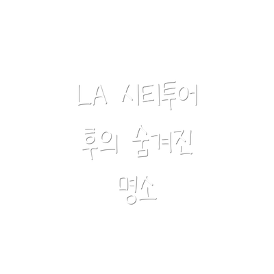 LA 시티투어 후의 숨겨진 명소