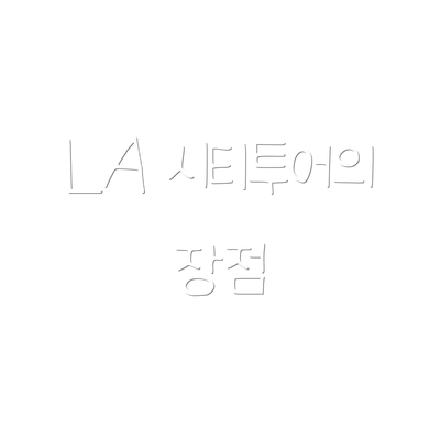 LA 시티투어의 장점