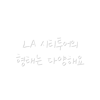 LA 시티투어의 형태는 다양해요
