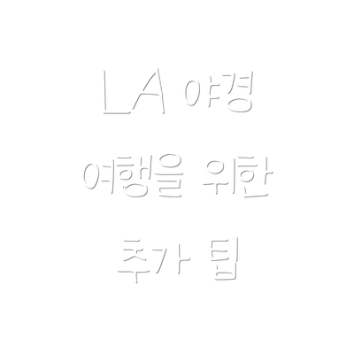 LA 야경 여행을 위한 추가 팁