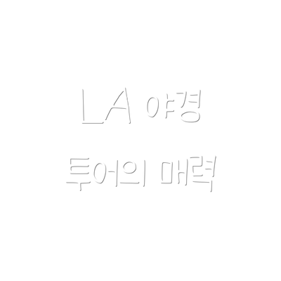 LA 야경 투어의 매력