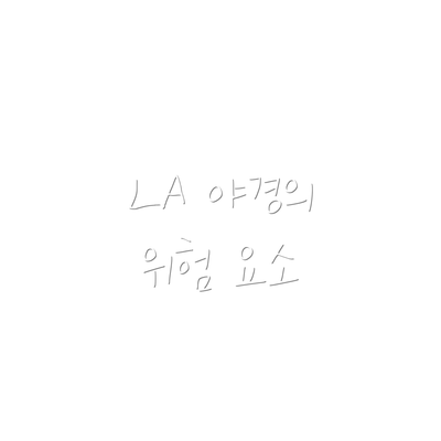 LA 야경의 위험 요소