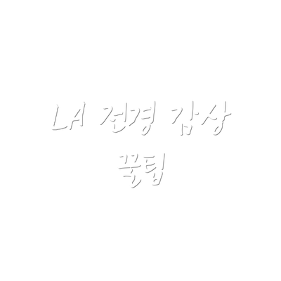 LA 전경 감상 꿀팁