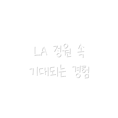 LA 정원 속 기대되는 경험