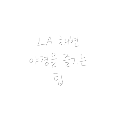 LA 해변 야경을 즐기는 팁