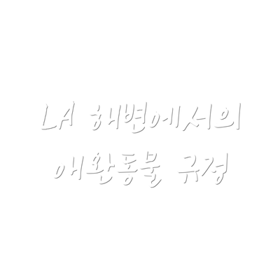 LA 해변에서의 애완동물 규정