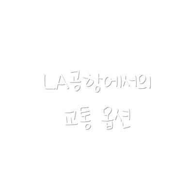 LA공항에서의 교통 옵션