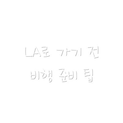 LA로 가기 전 비행 준비 팁