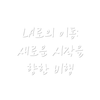 LA로의 이동: 새로운 시작을 향한 비행