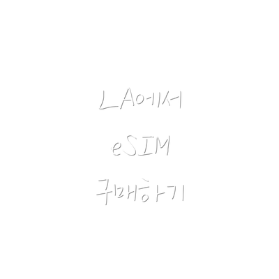 LA에서 eSIM 구매하기