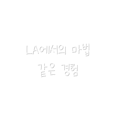 LA에서의 마법 같은 경험
