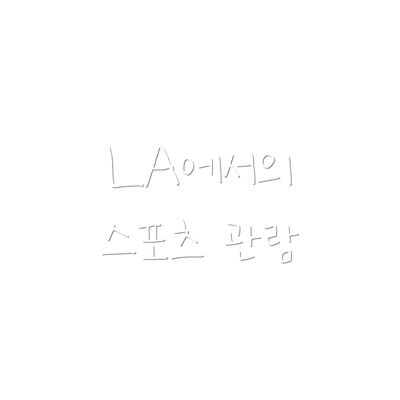 LA에서의 스포츠 관람