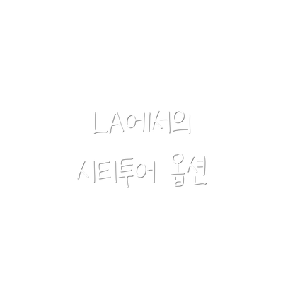 LA에서의 시티투어 옵션