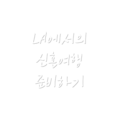 LA에서의 신혼여행 준비하기