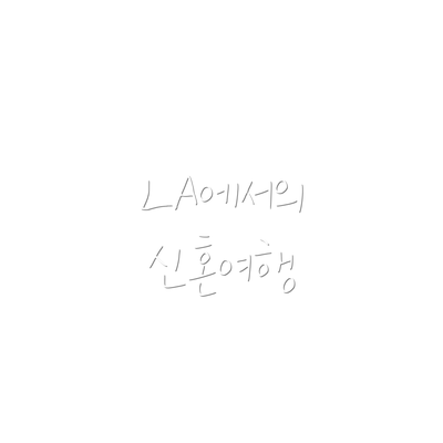 LA에서의 신혼여행