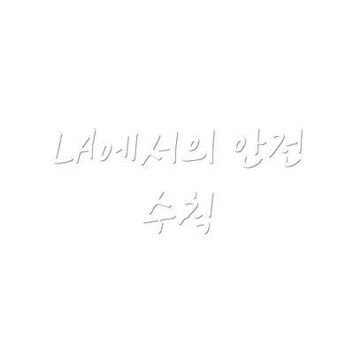 LA에서의 안전 수칙