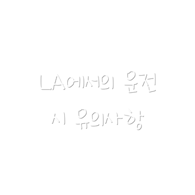 LA에서의 운전 시 유의사항