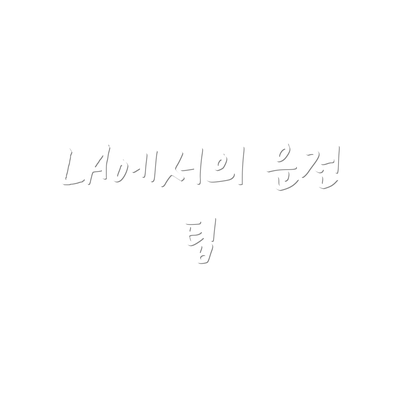 LA에서의 운전 팁