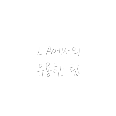 LA에서의 유용한 팁