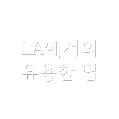 LA에서의 유용한 팁
