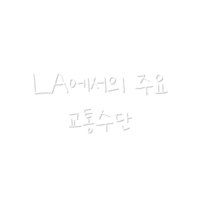 LA에서의 주요 교통수단