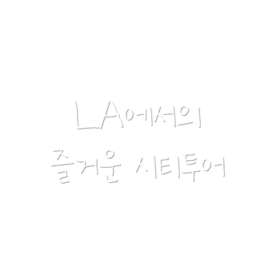 LA에서의 즐거운 시티투어