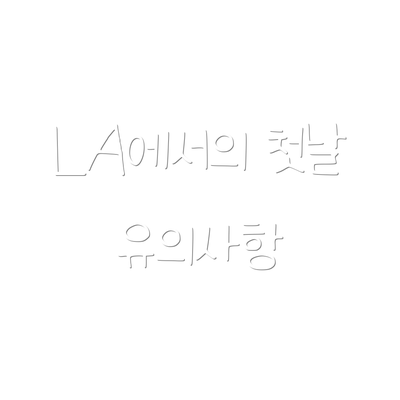 LA에서의 첫날 유의사항
