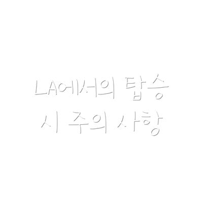 LA에서의 탑승 시 주의 사항