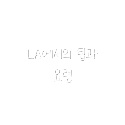LA에서의 팁과 요령