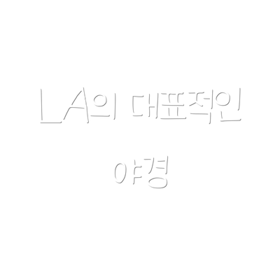 LA의 대표적인 야경