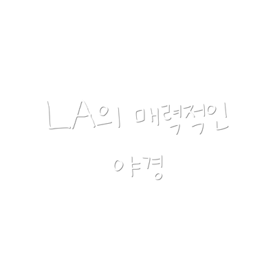 LA의 매력적인 야경