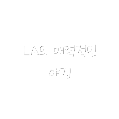 LA의 매력적인 야경